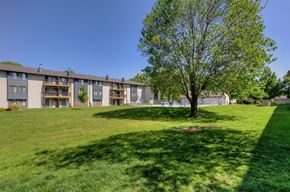 Urbandale apartment for rent - a large lawn with a tree in front of an apartment building