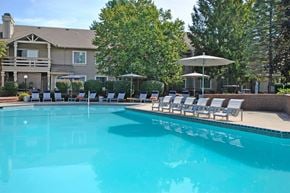 Holland apartment for rent - a swimming pool with chairs and umbrellas in front of a house