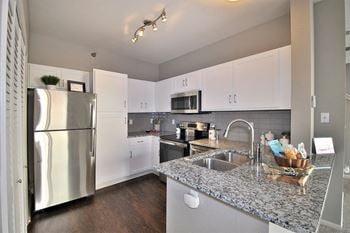 Stainless steel appliances*