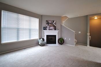 Gas fireplace*