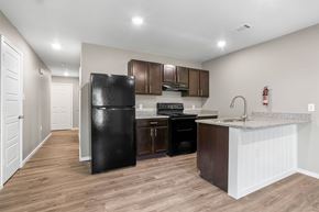 Conway apartment for rent - A kitchen with a black fridge, black stove, and black dishwasher.
