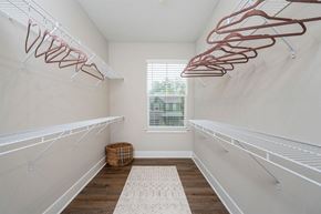 Lewis Center apartment for rent - large walk in closet with two rows of shelves