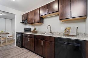 Racine apartment for rent - a kitchen with wooden cabinets and a counter top and a sink