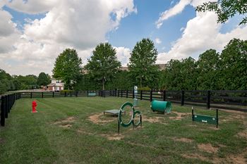 Dog park