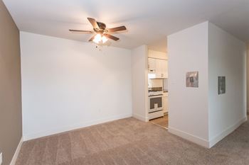 Ceiling fan(s)*