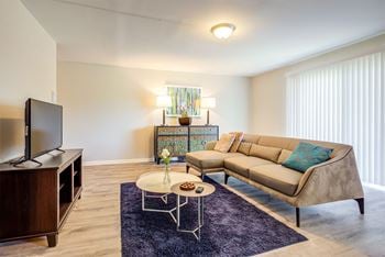 Wood-style plank flooring*
