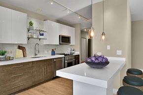 Highland Park apartment for rent - a kitchen with a bowl of fruit on the counter