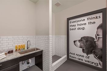 Dog washing area