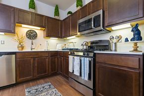 Ann Arbor apartment for rent - a kitchen with stainless steel appliances and wooden cabinets