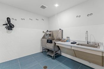 Pet washing station