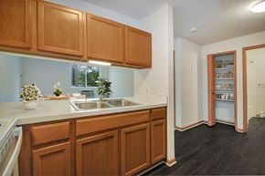 Livonia apartment for rent - a kitchen with a sink and wooden cabinets      and a door