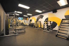 Detroit apartment for rent - A gym with a variety of equipment including a squat rack, bench press, and a leg press machine.