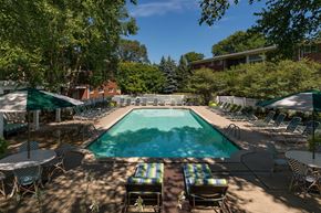 Royal Oak apartment for rent - A pool surrounded by chairs and umbrellas.