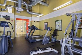 Royal Oak apartment for rent - A gym with a variety of equipment including treadmills, elliptical machines, and weight machines.