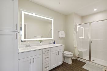 Internally lit led mirror in bathroom