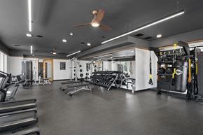 Grand Rapids apartment for rent - a gym with weights machines and a ceiling fan