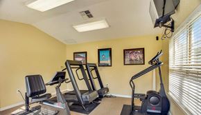 Conway apartment for rent - A home gym with a treadmill, stationary bike, and rowing machine.