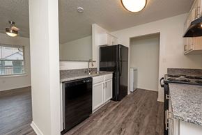 Conway apartment for rent - A kitchen with a black refrigerator and a marble countertop.