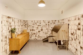 On-site pet wash