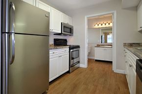 Holland apartment for rent - the lakes of holland apartments kitchen