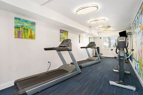 Holland apartment for rent - the lakes of holland apartments fitness center