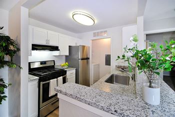 Chef-friendly gas stove