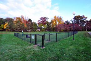Portage apartment for rent - the view apartment and townhomes dog park