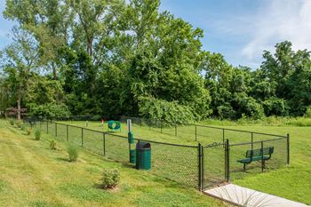 Dog park