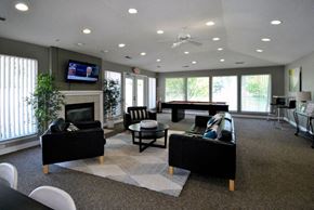 South Rockwood apartment for rent - A living room with a television, a fireplace, and a couch.