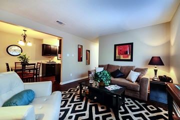 Little Rock apartment for rent - A living room with a white couch and a black and white rug.