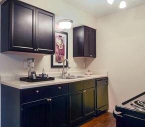 Little Rock apartment for rent - A kitchen with black cabinets and a white countertop.