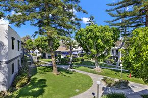 Brea apartment for rent - A tree in a yard is taller than the house.