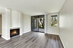 Santa Ana apartment for rent - Lake Dianne Apartment Homes One Bedroom Living room with fireplace