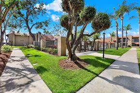 Fountain Valley apartment for rent - A tree in a grassy area with a sidewalk and a building in the background.
