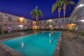 Orange apartment for rent - A swimming pool at a resort with a palm tree.