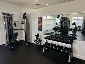 Lakeland apartment for rent - Audubon Oaks Gym, Lakeland FL
