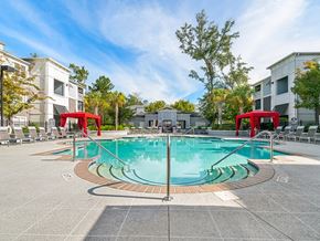 Summerville apartment for rent - A large outdoor swimming pool surrounded by lounge chairs and umbrellas.