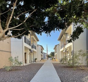 El Paso apartment for rent - A tree-lined walkway leads between two rows of modern townhouses.