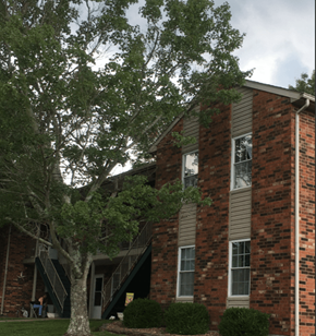 Greenville apartment for rent - an apartment building with stairs and a tree in front of it