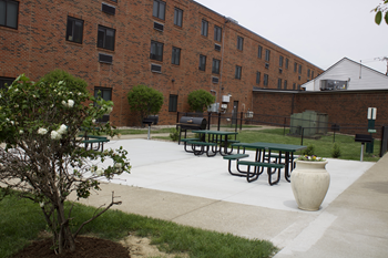 Bbq/picnic area