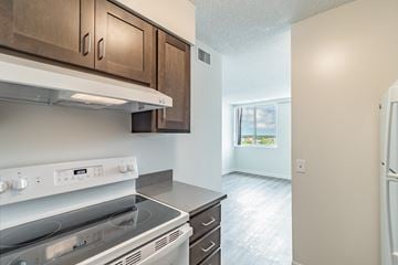 St. Petersburg apartment for rent - A kitchen with a stove top oven and a refrigerator.