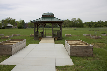 Community garden