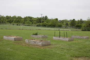 Community garden