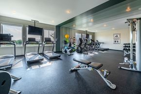 Maple Grove apartment for rent - a gym with treadmills and other exercise equipment and windows