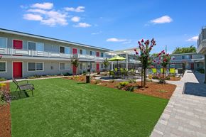 Castro Valley apartment for rent - A sunny day at a residential complex with a green lawn and a tree with red flowers.