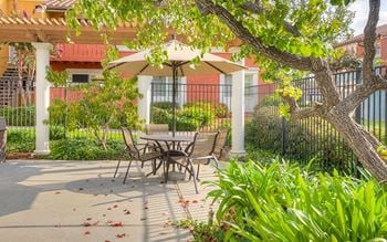 Sundeck with swimming pool