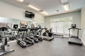 Richmond apartment for rent - the gym is equipped with state of the art cardio equipment and free weights