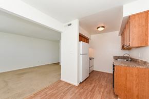 Norfolk apartment for rent - an empty kitchen with a refrigerator and a sink