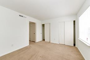 Norfolk apartment for rent - a bedroom with white walls and a carpeted floor and three closets