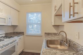 Newport News apartment for rent - a kitchen with a sink and a stove and a window